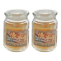 Bougie Parfumée En Pot De 18 Oz (Pain DÉpices Givré) - Lot De 2