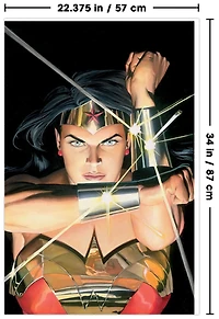 DC Comics Wonder Woman - Alex Ross Portrait Wall Poster, 22.375" x 34"