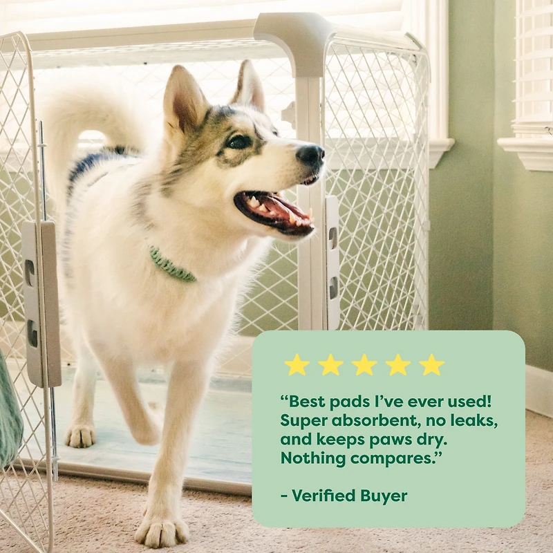 Tapis de propreté antifuite Earth Rated pour chiens et chiots, absorption 2X plus rapide*, non parfumés, L, 56 x 56 cm, paq. de 10