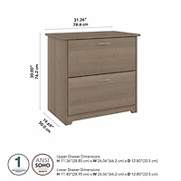Bush Furniture Cabot 2 Drawer Lateral File Cabinet