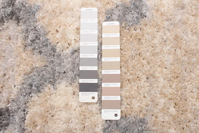 ECARPET Trellis Frieze Area Rug Fluffy Carpet for Bedroom, Ultra Soft & Plush Annica Collection