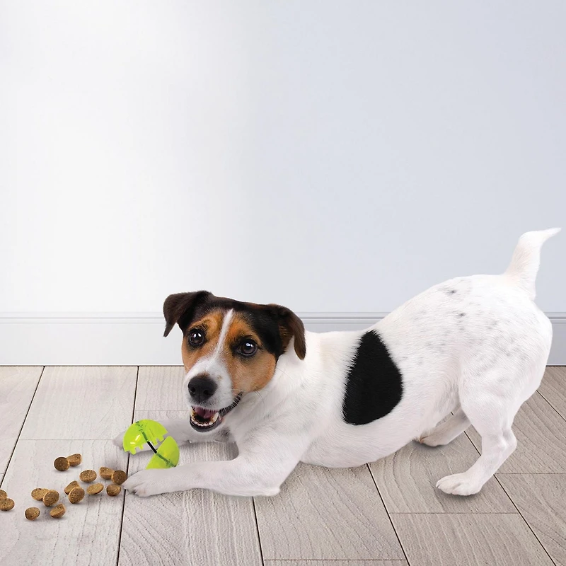 NERF Dog TPR Bungee Treat Ball Dog Toy 2.5in