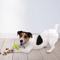 NERF Dog TPR Bungee Treat Ball Dog Toy 2.5in