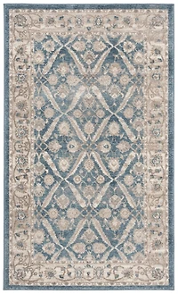 Safavieh Sofia Jerrod Floral Bordered Area Rug