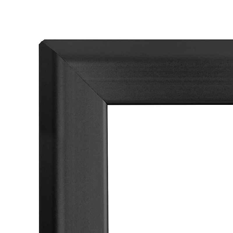 SECO Snap Poster Frame Case, 27 x 41 Inches, Black