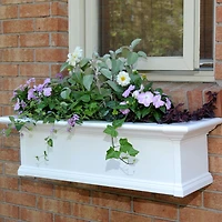 Yorkshire Window Box