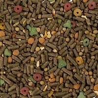 Wild Harvest Nutrition avancée pour cochons d'inde 1,8kg