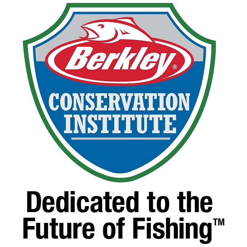 Berkley PBBSS2-HDRBT PowerBait Pre-rigged Swim Shad, 5Pk, 2" HD Rainbow Trout, PowerBait Pre-rigged Swim Shad