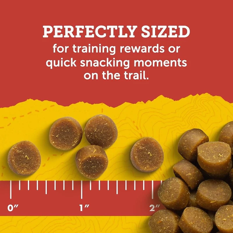 Zuke's Mini Naturals Tender Bites Salmon Recipe, Dog Treats, 170-454 g