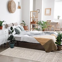 ECARPET Area Rug for Dining Room, Living Room, Bedroom Mia Collection