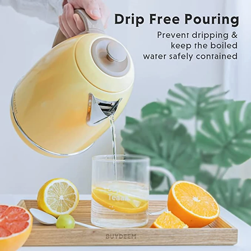 BUYDEEM K640 Bouilloire électrique en acier inoxydable de 1,7 L avec arrêt automatique et protection contre l'ébullition à sec.