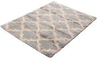 ECARPET Trellis Frieze Area Rug Fluffy Carpet for Bedroom, Ultra Soft & Plush Annica Collection