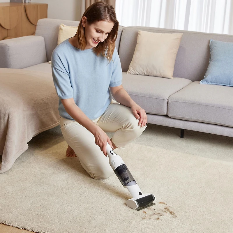 Aspirateur à main Tineco Go Mini Pet