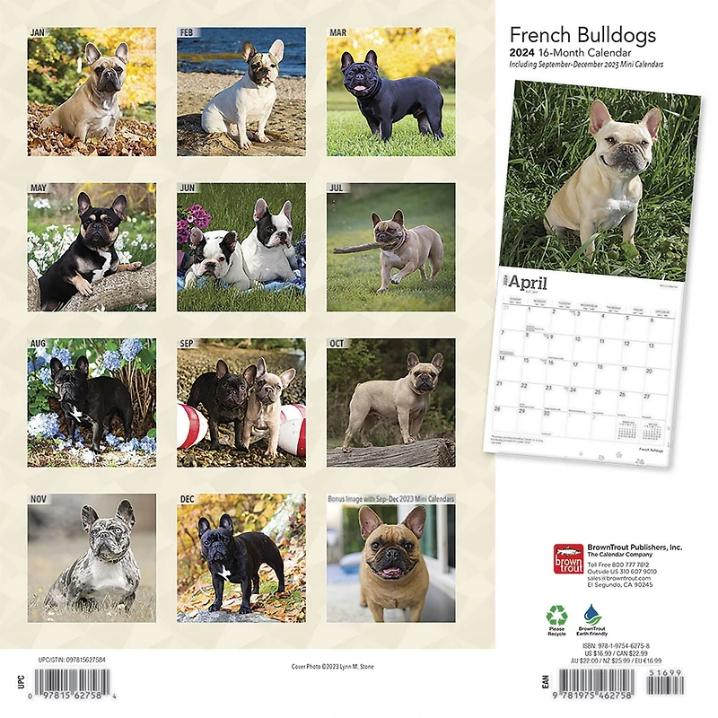 BrownTrout Bouledogue français 2024 Mur Carré 30.48x60.96 CM, 9781975462758