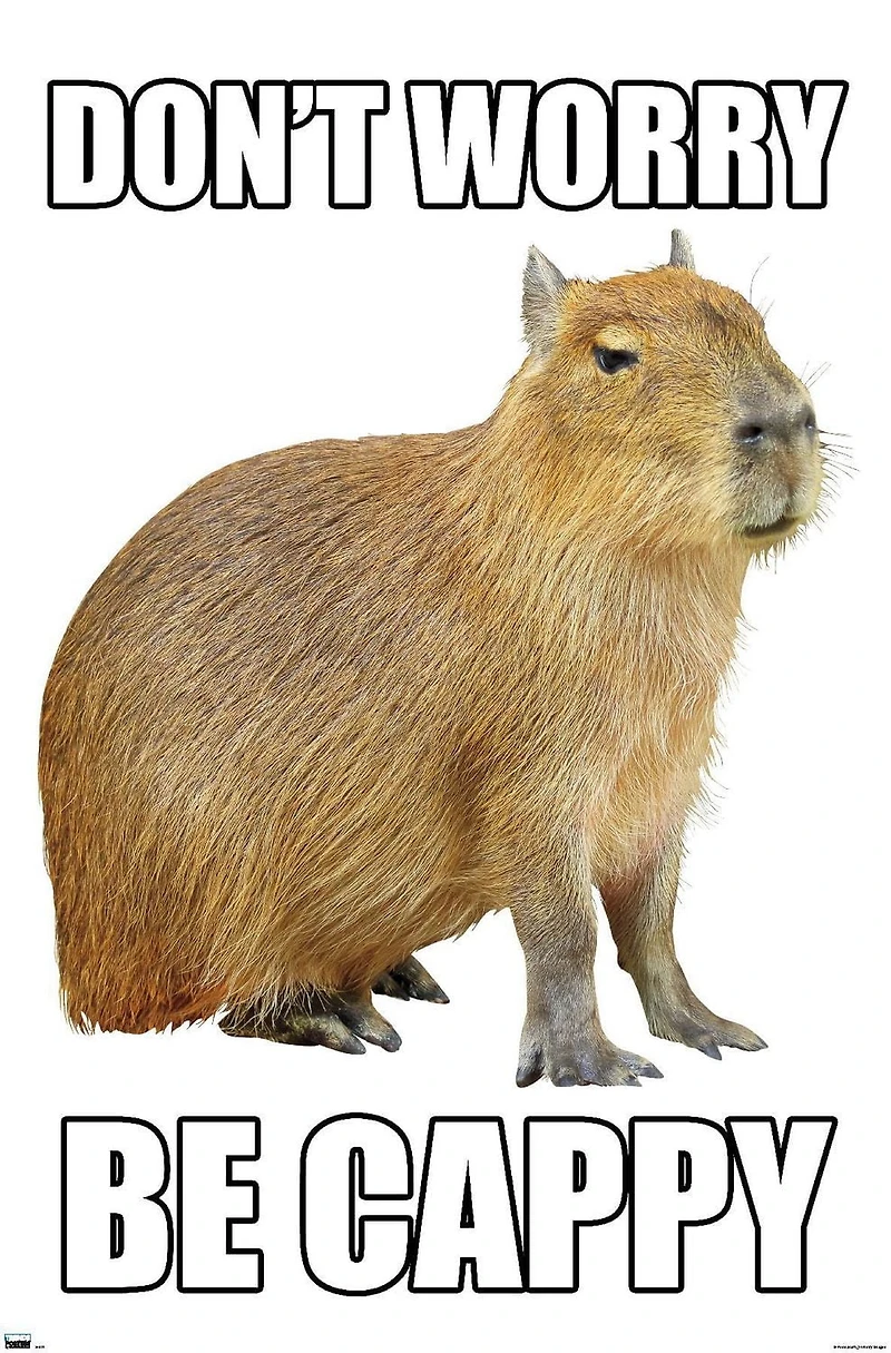 Capybara - Be Cappy Wall Poster, 22.375" x 34"