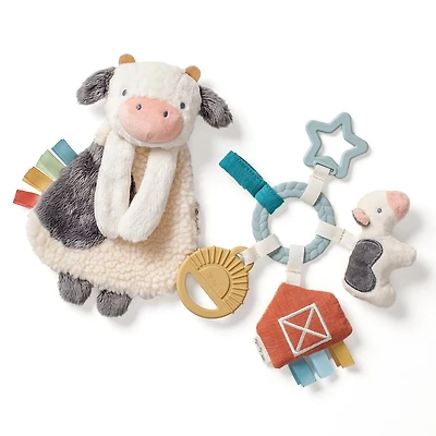 Itzy Ritzy Bitzy Busy Gift Set