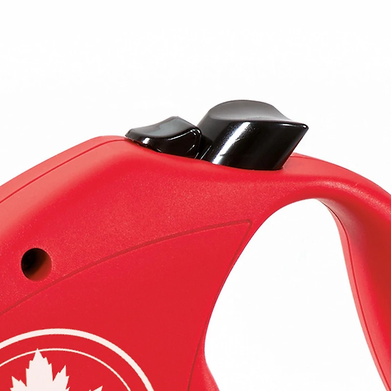 Flexi Moyen Canada Feuille d'Érable 5m Cordon Laisse Rétractable pour Chien