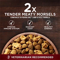 Purina ONE True Instinct Turkey & Venison, Dry Dog Food, 1.72-12.4 kg