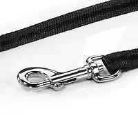 Flexi Moyen Canada Feuille d'Érable 5m Cordon Laisse Rétractable pour Chien