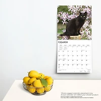 BrownTrout Black Cats 2024 12x24 Inch Square Wall Calendar, 9781975461805