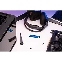WD Blue SN5000 NVMe™ SSD - 1 To