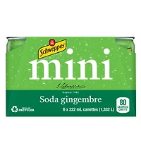 Schweppes Ginger Ale 6 x 222 mL, Mini-canettes 6x222mL