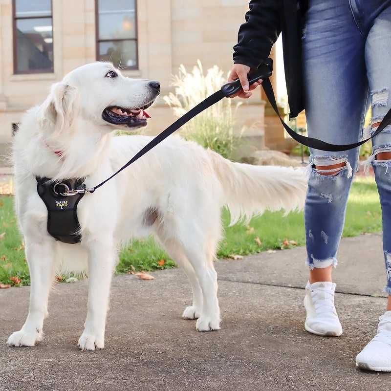 Coastal Pet Products Large Black Walk Right! Front-Connect Padded Dog Harness, Large Dog Harness