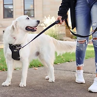Coastal Pet Products Large Black Walk Right! Front-Connect Padded Dog Harness, Large Dog Harness