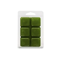Bloc de cire parfumée ScentSationals - Frais succulente