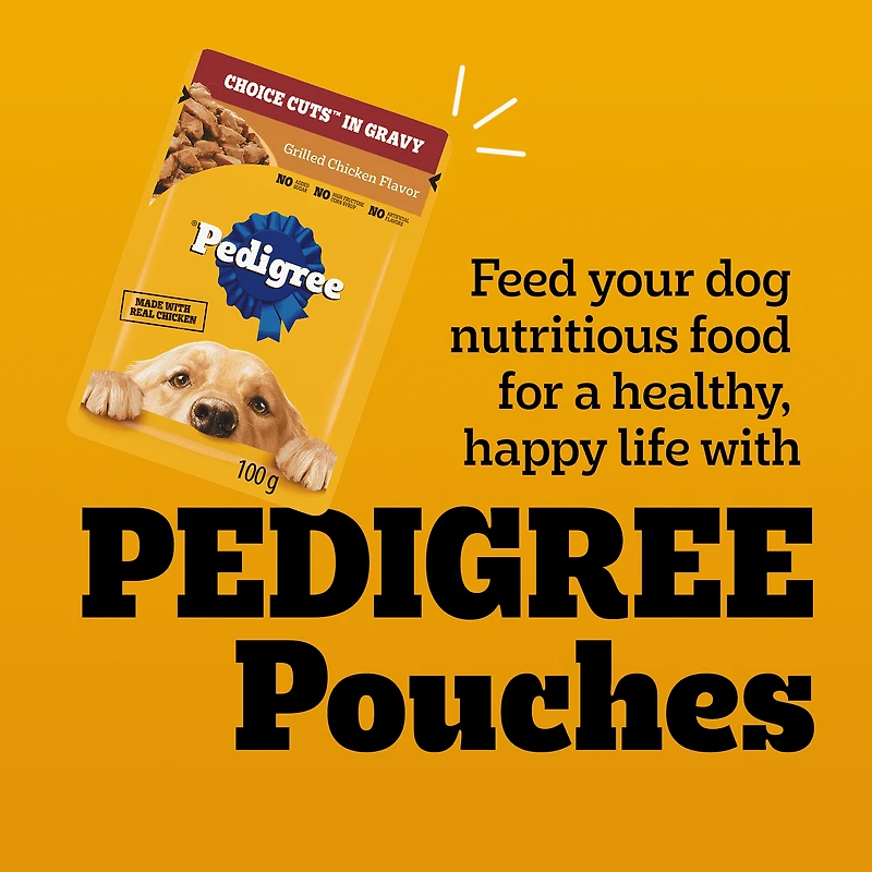 Pedigree Adult Wet Dog Food Choice Cuts in Gravy Beef, Noodles & Vegetable and Grilled Chicken Flavour Pouch Variety 800g
