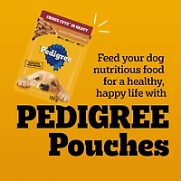 Pedigree Adult Wet Dog Food Choice Cuts in Gravy Beef, Noodles & Vegetable and Grilled Chicken Flavour Pouch Variety 800g