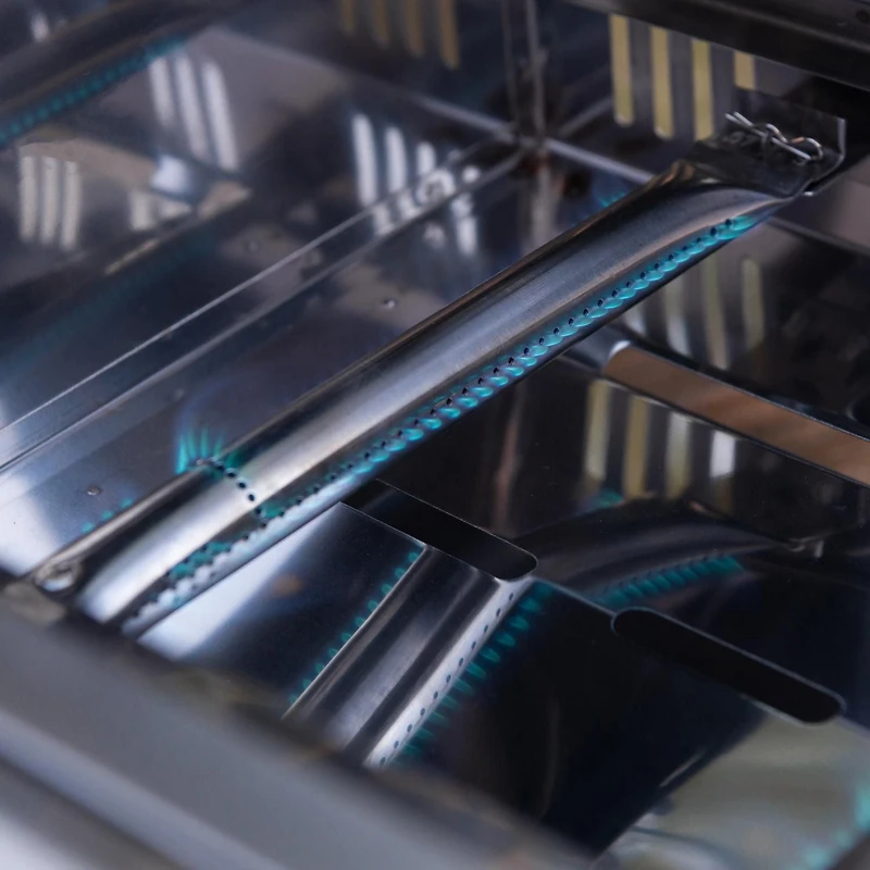 Expert Grill 2-Burner Tabletop Gas BBQ Grill, Stainless Steel