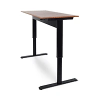 Luxor 48" Pneumatic Adjustable-Height Standing Desk