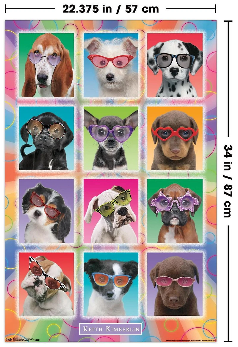 Keith Kimberlin - Puppies - Sunglasses Wall Poster, 22.375" x 34"