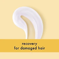 Love Planet Beauty Coconut Water and Ylang Ylang Shampoo
