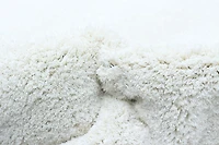 ECARPET Modern Shag Area Rug, Super Soft , Fluffy Carpet for Living Room, Bedroom, Hallway, Entrance, Non Slip Cotton Backing, Blizz Collection
