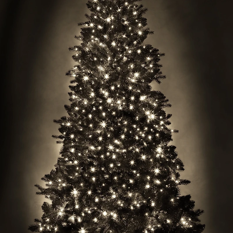 Danson Décor 500CT Lumière DEL, Blanc Chaud