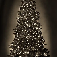 Danson Décor 500CT Lumière DEL, Blanc Chaud