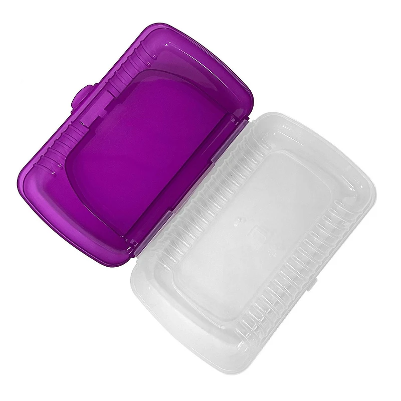 DOUBLE LAYER PLASTIC BOX PURPLE
