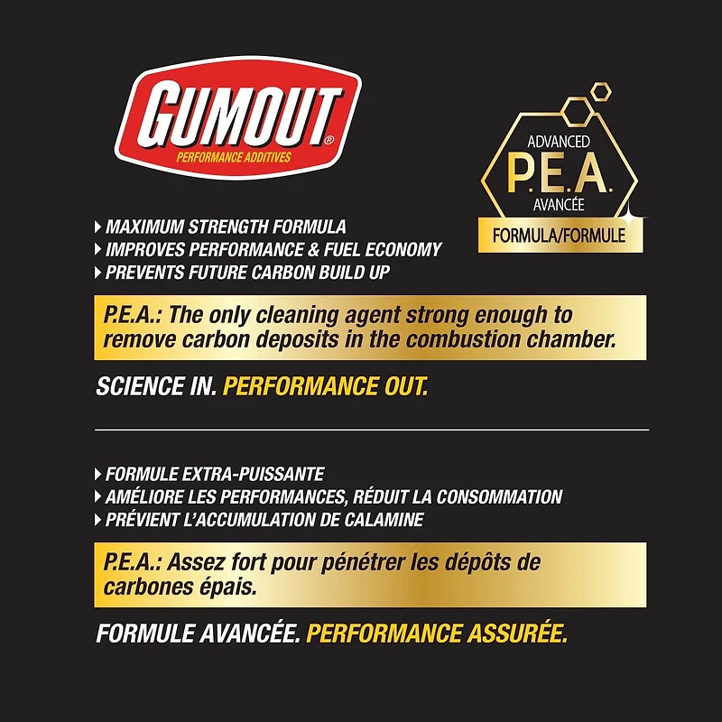 Nettoyant système d'alimentation Gumout All-In-One 296 ml