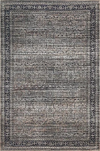 Rug Branch Emir Collection Traditional Oriental Distressed Water-Repellent Area Rug