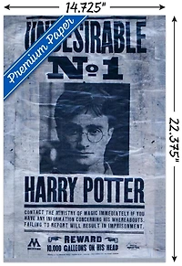 Le Monde des Sorciers : Harry Potter - Indésirable