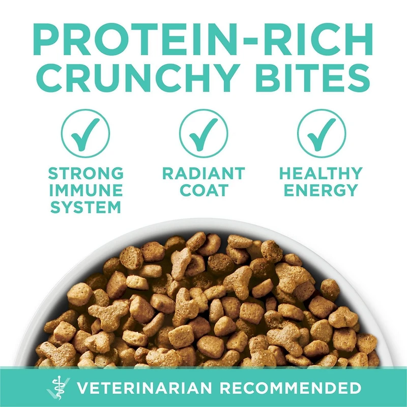 Purina ONE +Plus Systèmes Sensibles Dinde, Nourriture Sèche pour Chats 1,8-3 kg