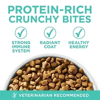 Purina ONE +Plus Systèmes Sensibles Dinde, Nourriture Sèche pour Chats 1,8-3 kg