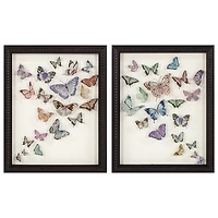 Set of Two Framed Under Glass Butterflies 8x10 - FRENCH NO BRAND IMPORT EX 2PK FRAMED BUTTERFLY
