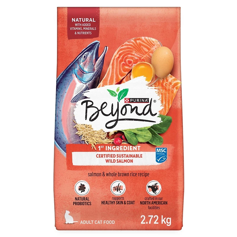 Beyond Simply Salmon & Whole Brown Rice Recipe, Dry Cat Food, 2.72 kg