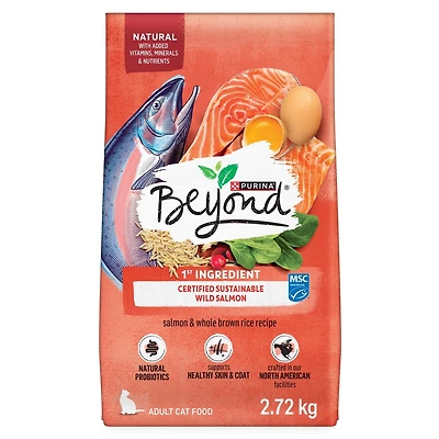 Beyond Simply Salmon & Whole Brown Rice Recipe, Dry Cat Food, 2.72 kg