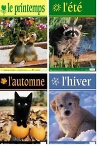 French Seasons Posters