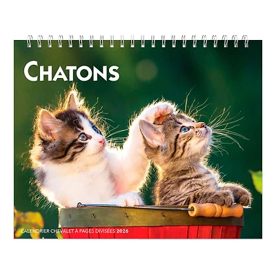 Chatons 2026 chevalet double vue FRANÇAISE BTCA