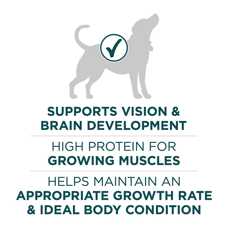 Purina ONE SmartBlend Formule pour Chiots de Grandes Races Poulet, Nourriture Sèche pour Chiens 7 kg 14 kg